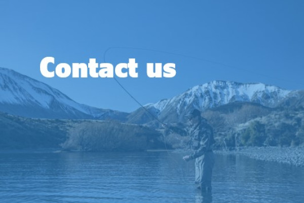 Contact us v2