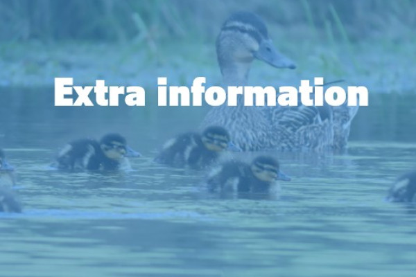 Extra information NM