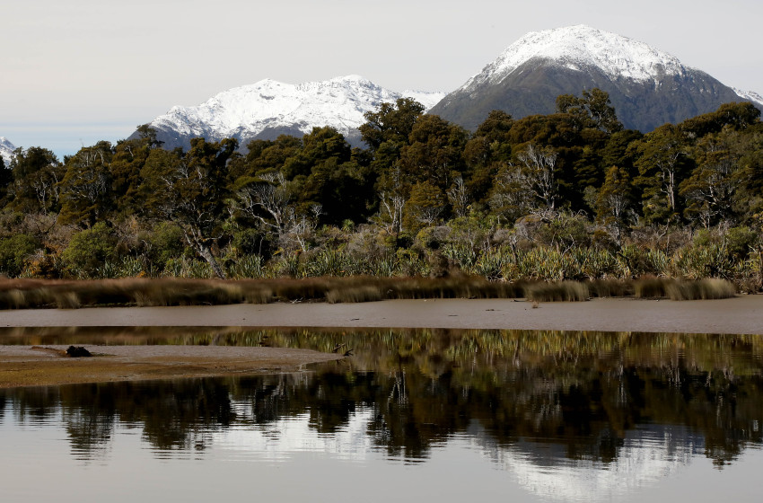 Fish & Game welcomes new government as win for environment