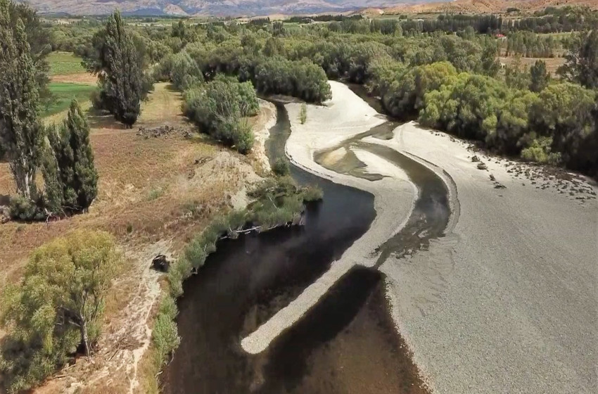 Fish and Game staff concerned at the state of Manuherikia River
