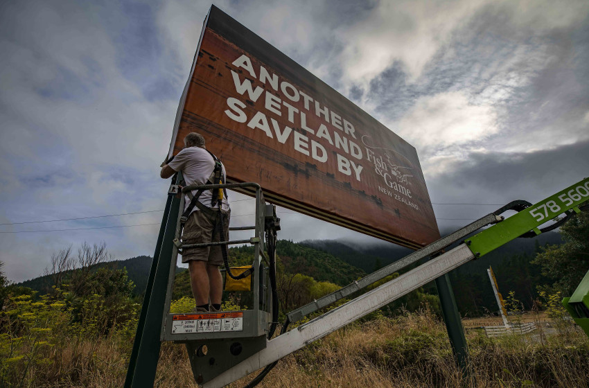 Hunters Score Conservation Win With Marlborough Wetland Restoration