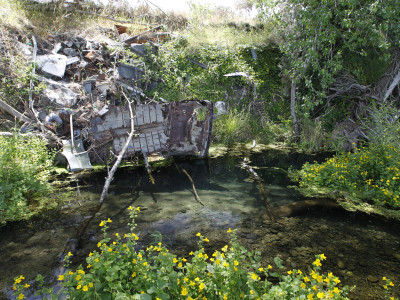 FGNZ NC Selwynriver17