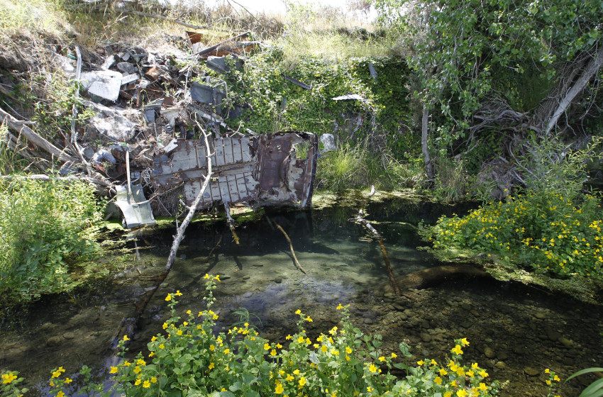 Illegal dumps – another regional council failure