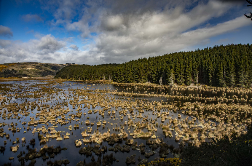 ‘Significantly’ More Work Needed To Remedy Environment Woes – Fish & Game