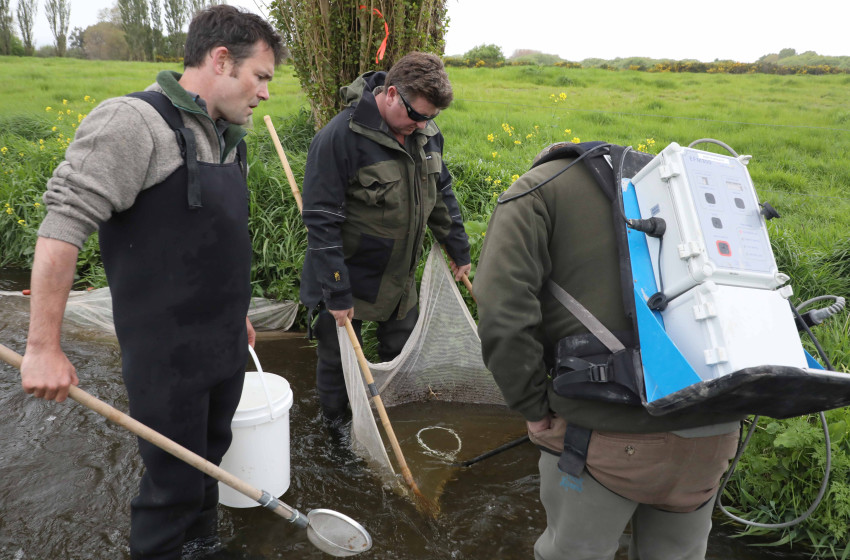 Snake Creek restoration project begins