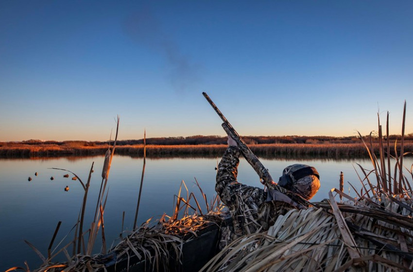 Important Update: Minister Announces Fish & Game reforms