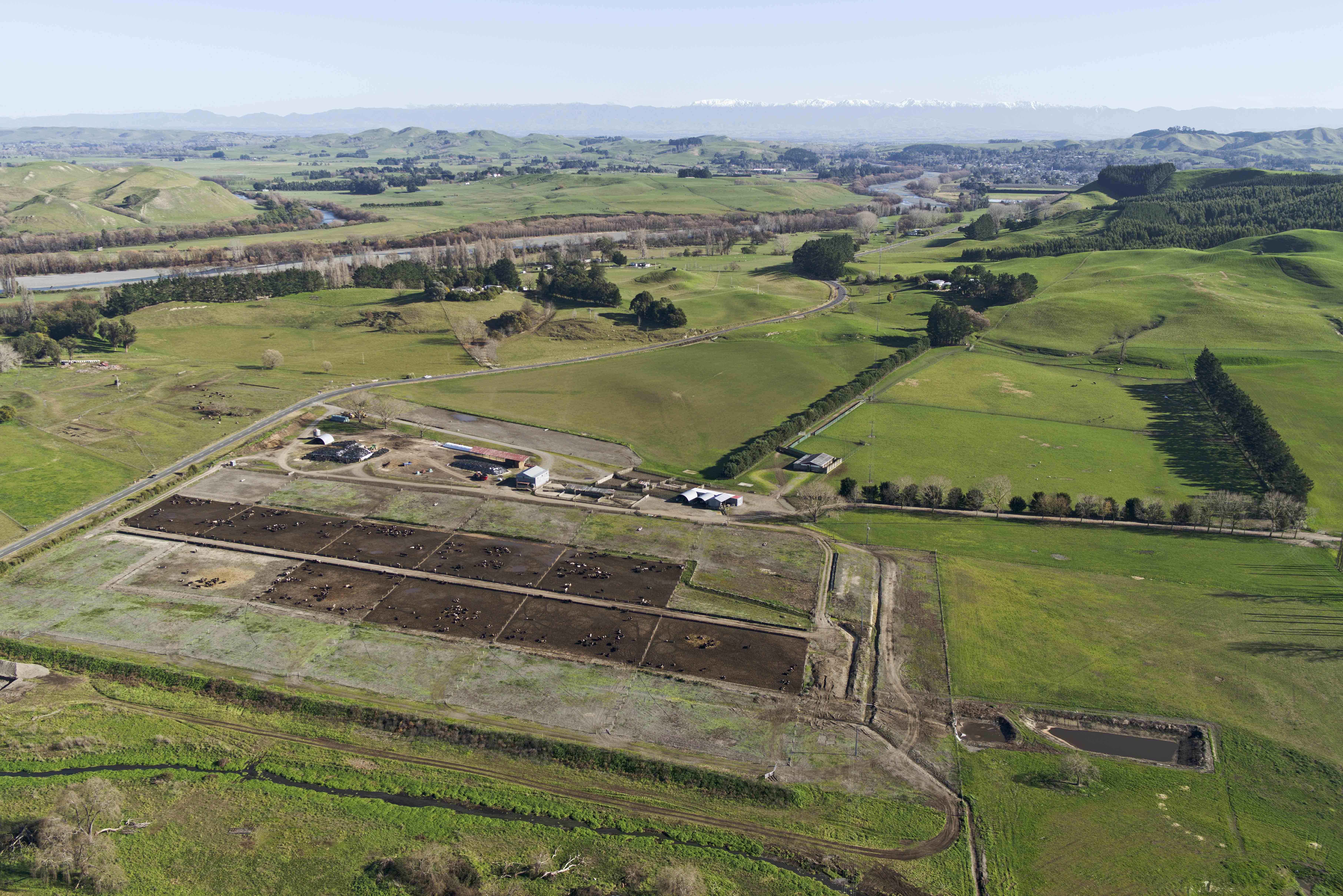 Hawke27s Bay feedlot by Tukituki River and Papanui Stream 2 1