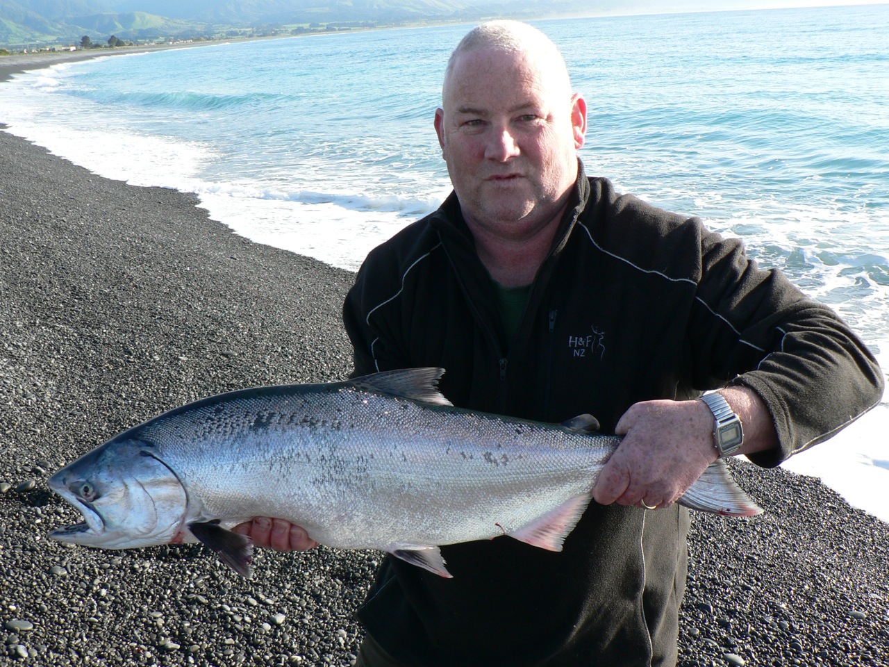 Kaikoura salmon Oct 2014