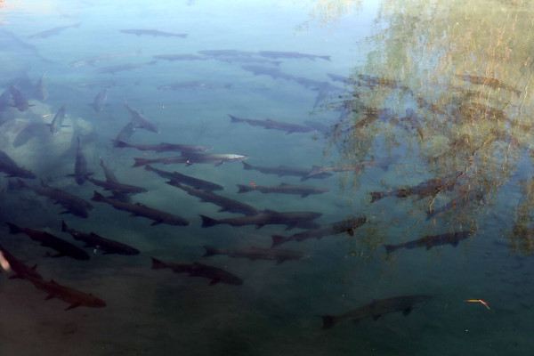 147e7149 a942 4d3d bcdd 12f588ca039e