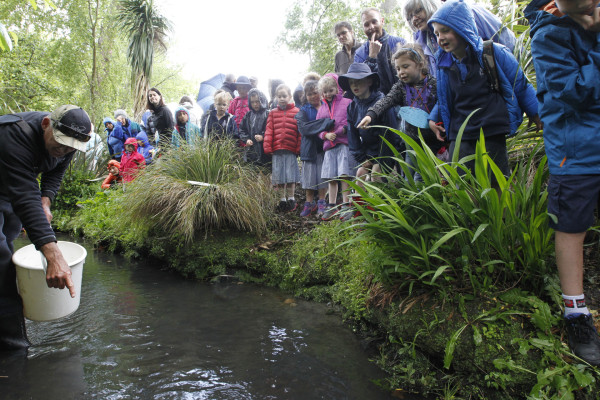 FGNZ NC RussleySchool9