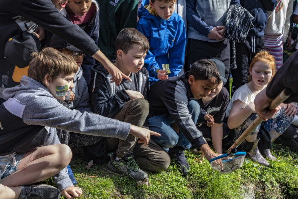 7b539677 3171 4a89 8920 01d40eb2380e