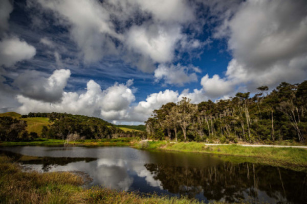 Underwood wetland ResizedImageWzUwMCwzMjBd FocusFillWyIwLjAwIiwiMC4wMCIsODUwLDU2MF0