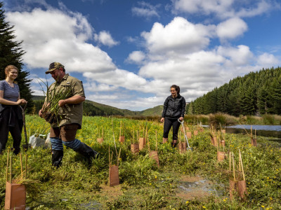 Tree planting at Takitakitoa Wetland scaled