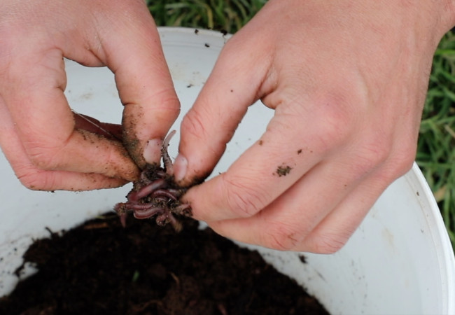 Photo 2 Bait fishing basics 