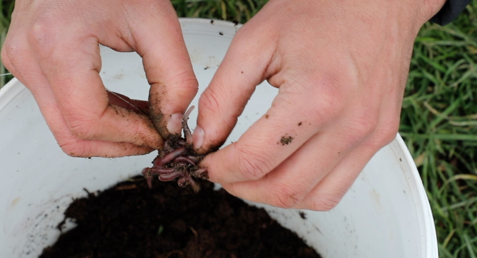 Photo 2 Bait fishing basics 