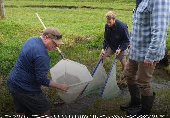 404610120 763086165846941 243376752966826133 n 1024x1024