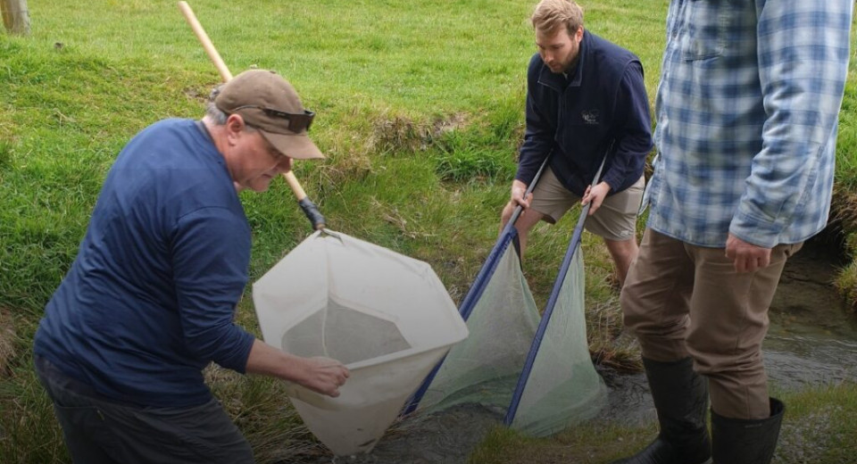 404610120 763086165846941 243376752966826133 n 1024x1024