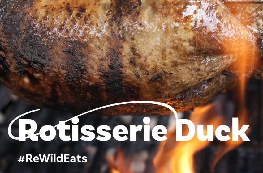 ReWild Recipe #1: BBQ’ed Rotisserie Duck