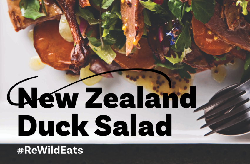 ReWild Recipe #3: New Zealand Duck Salad