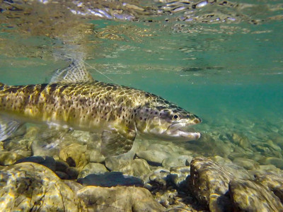 486574899 1149862027169351 7141825847781048299 n