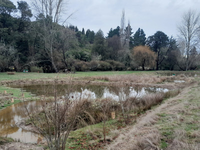 Blackbird Valley 1 002