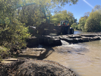 A large fish barrier on the Mangatarere Stream before removal.