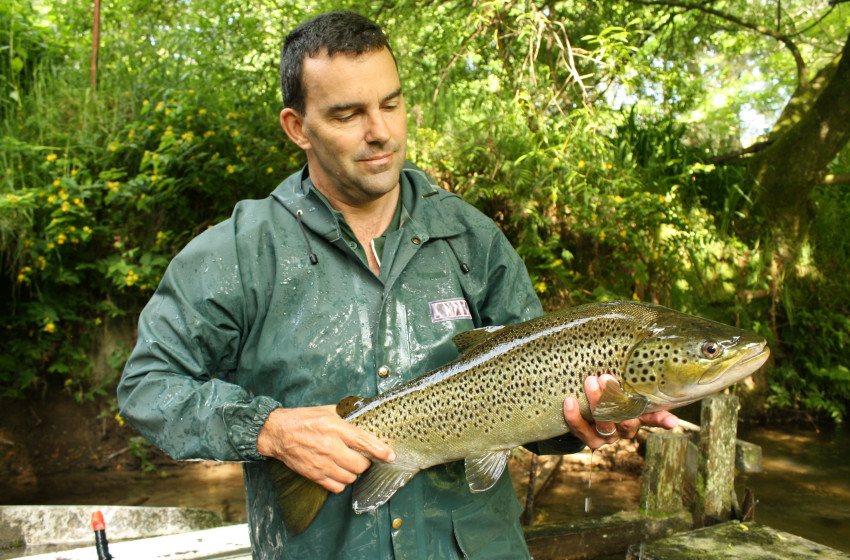 Anglers urged to seize opportunity