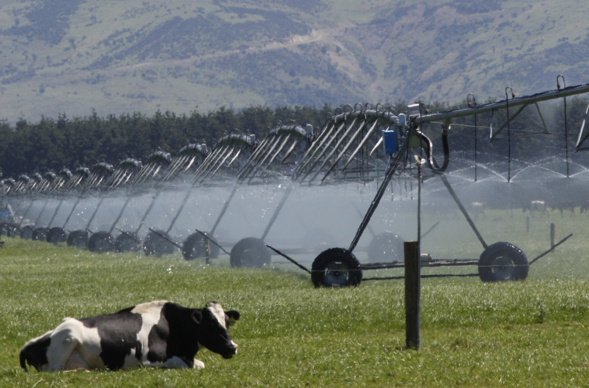 Fish & Game dismisses  ‘nonsense' claims about irrigation schemes