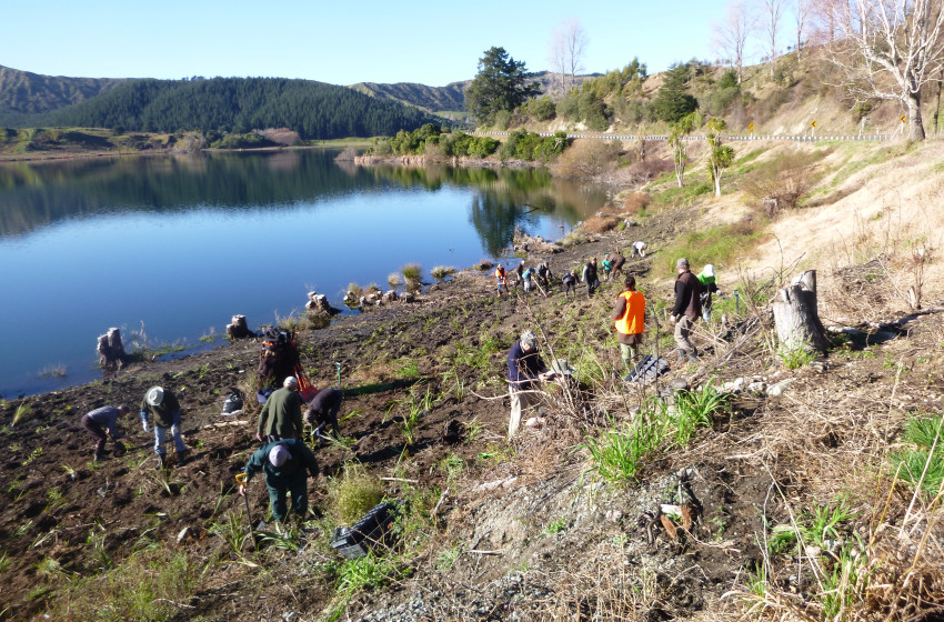 Fish & Game praises Lake Tutira clean up efforts