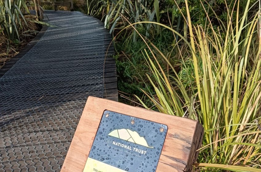 Fish & Game protects urban wetland in Wānaka