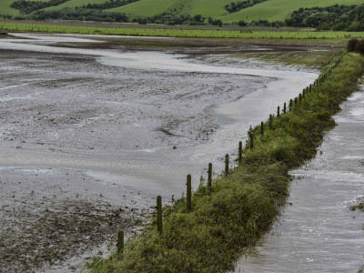 A Southland stream is dirtied by sediment washed from a poorly prepared crop paddock December 2018 DSC 3547 1