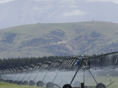 NZDN CowIrrigation 4