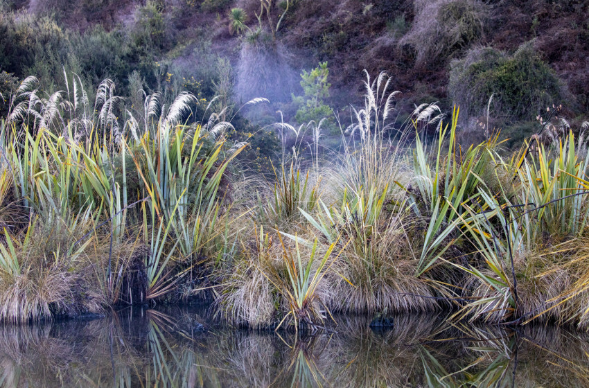 Government biodiversity policy won’t lead to a better environment