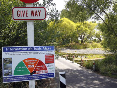 Pollution pic FGNZ NC Selwynriver7