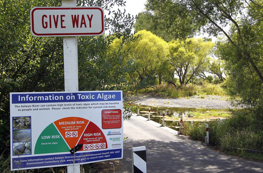 Govt water quality commitment ‘well overdue'