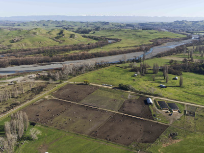 Hawke27s Bay feedlot by Tukituki River and Papanui Stream 1 1