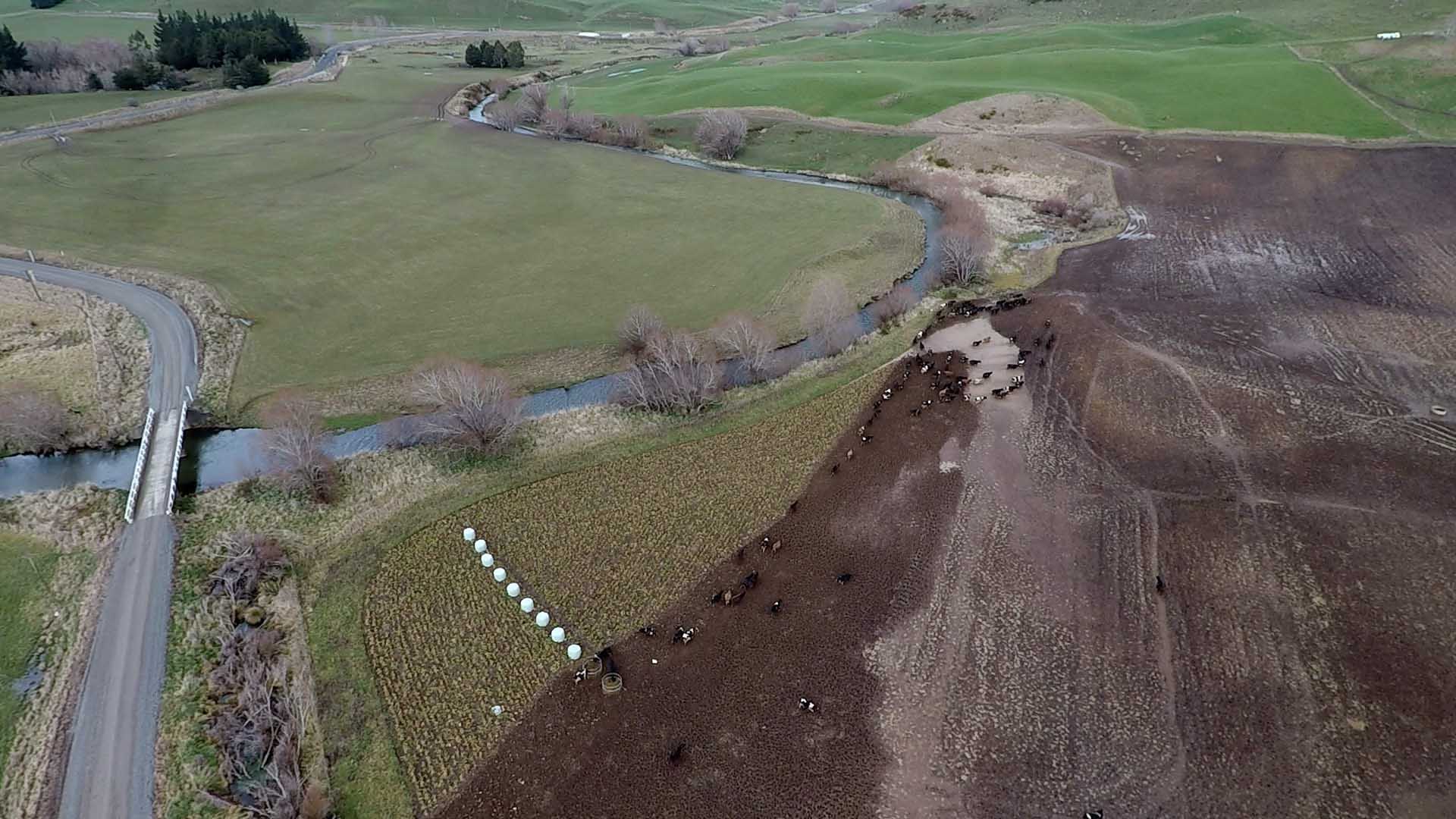 Winter feeding area beside waterway