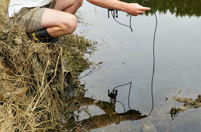 Major fish kill in Silverstream near Dunedin