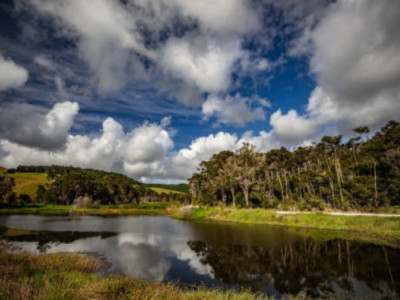 Underwood wetland ResizedImageWzUwMCwzMjBd FocusFillWyIwLjAwIiwiMC4wMCIsODUwLDU2MF0  ResizedImageWzYwMCwzOTVd