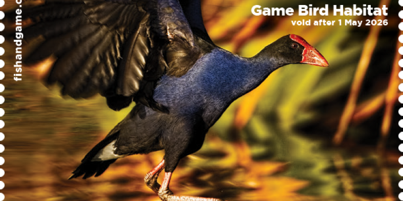 2025 Game Bird Stamp