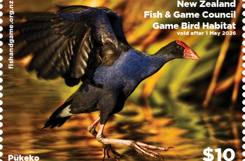 Photo Competition opens for 2027 Game Bird Habitat Stamp