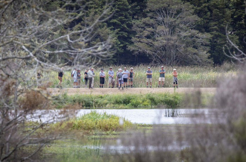 ReWilding the north for World Wetlands Day - wetland a paradise for wildlife