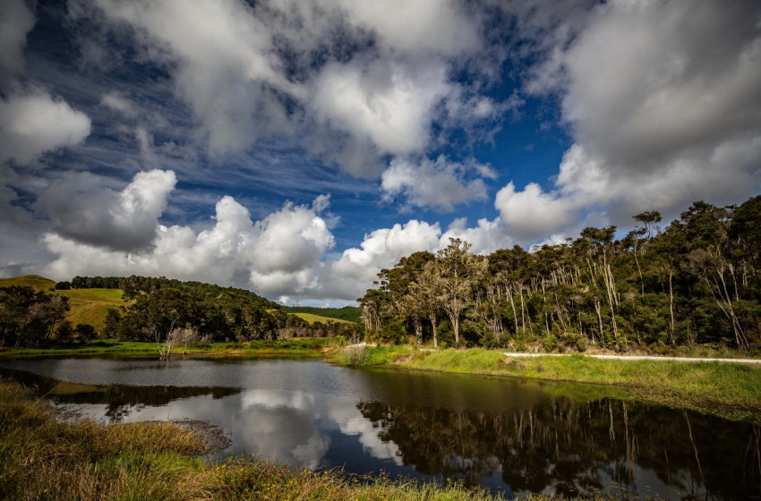Urgent: Have your say on fishing and hunting before 13 February