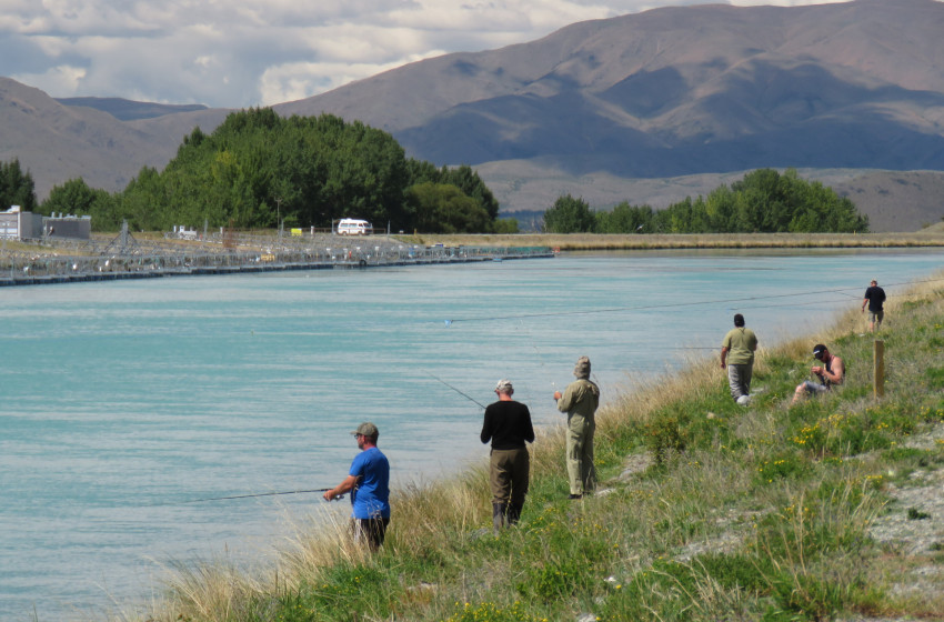 Research targets economic impact of famed hydro canal sports fishery