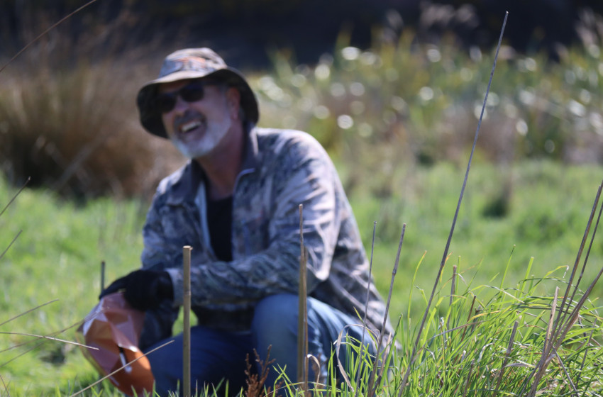 Takitakitoa Wetland Walking Tour