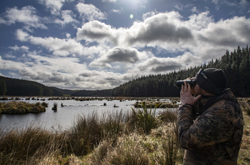 Takitakitoa wetland impresses trustees