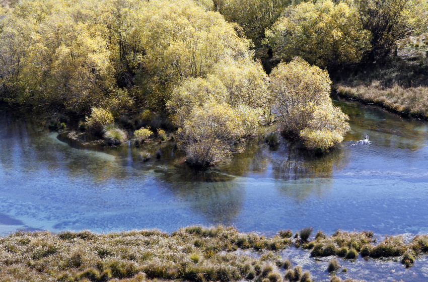 “The wait is over” Fish & Game welcomes Government’s plan to improve water quality