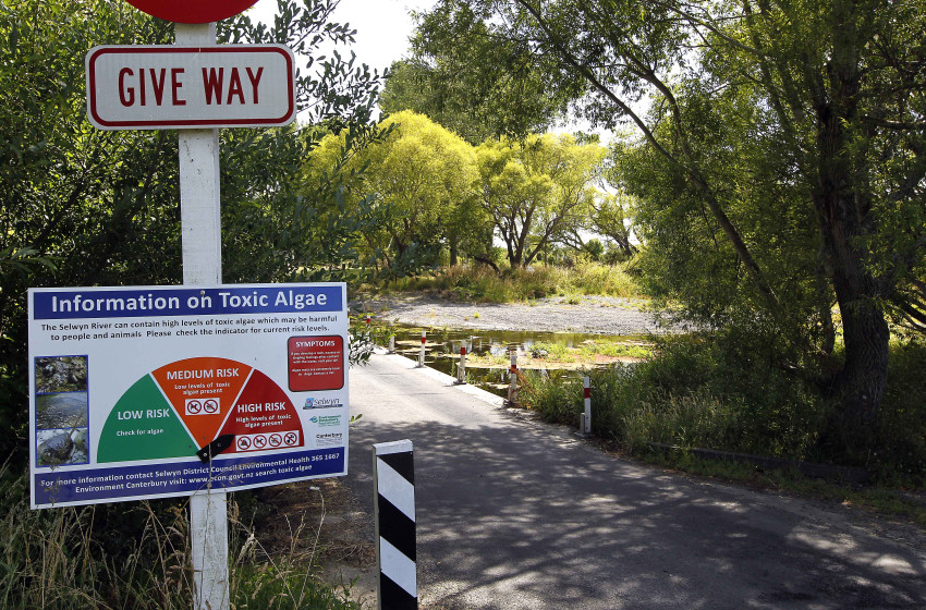 Timidity undermines Land and Water Forum Report when boldness required