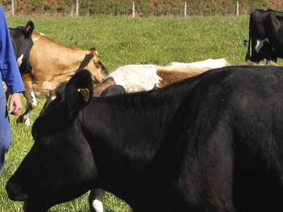 news 2 FGNZ NC GlenHerud10 002