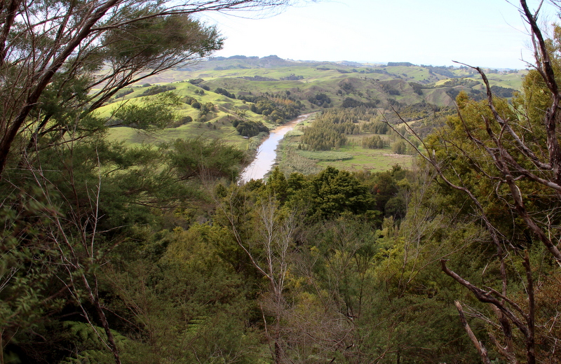Underwood Wetland 2 view looking down onto the river flats.